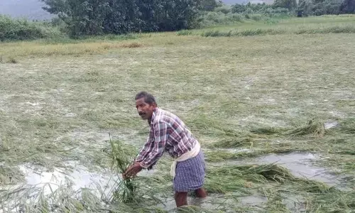 Andhra Pradesh : నేడు రాష్ట్రానికి కేంద్ర బృందం