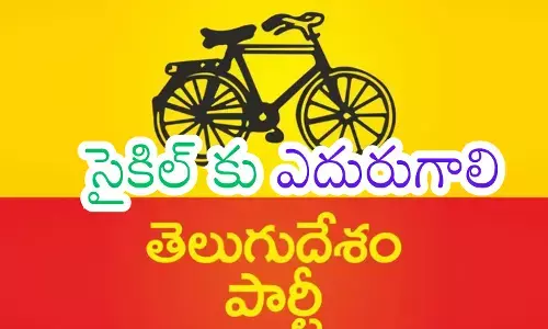 Telugu Desam Party : టీడీపీలో థిక్కార స్వరం.. ఇది వేకప్ కాల్.. మేల్కొనకపోతే?