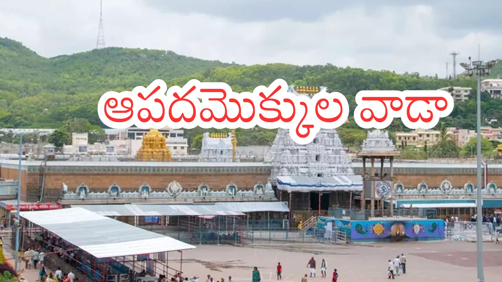 Tirumala : తిరుమల వెళ్లే భక్తులకు తీపికబురు.. సులువుగా దర్శనం Tirumala : తిరుమల వెళ్లే భక్తులకు తీపికబురు.. సులువుగా దర్శనం