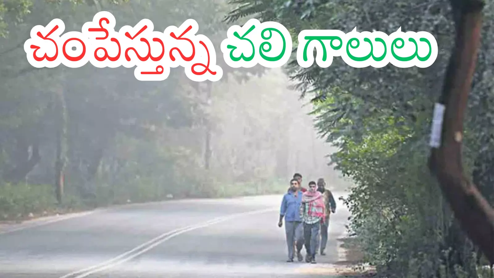 Cold Waves : ఉదయం.. సాయంత్రం బయటకు రాకపోవడమే మంచిదట Cold Waves : ఉదయం.. సాయంత్రం బయటకు రాకపోవడమే మంచిదట