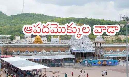 Tirumala : తిరుమల వెళ్లే భక్తులకు తీపికబురు.. సులువుగా దర్శనం