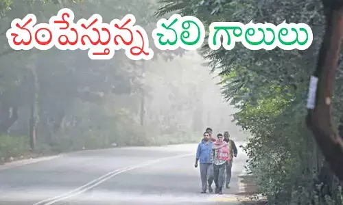 Cold Waves : ఉదయం.. సాయంత్రం బయటకు రాకపోవడమే మంచిదట