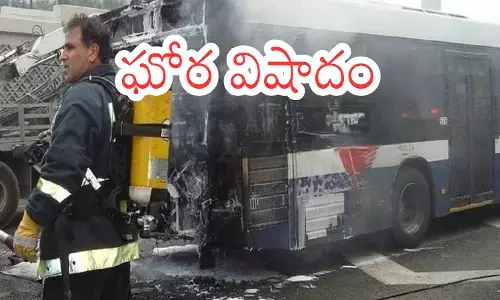 Bus Accident : హైదరాబాద్ కు చెందిన ఒకే కుటుంబంలో ఎనిమిది మంది మృతులు