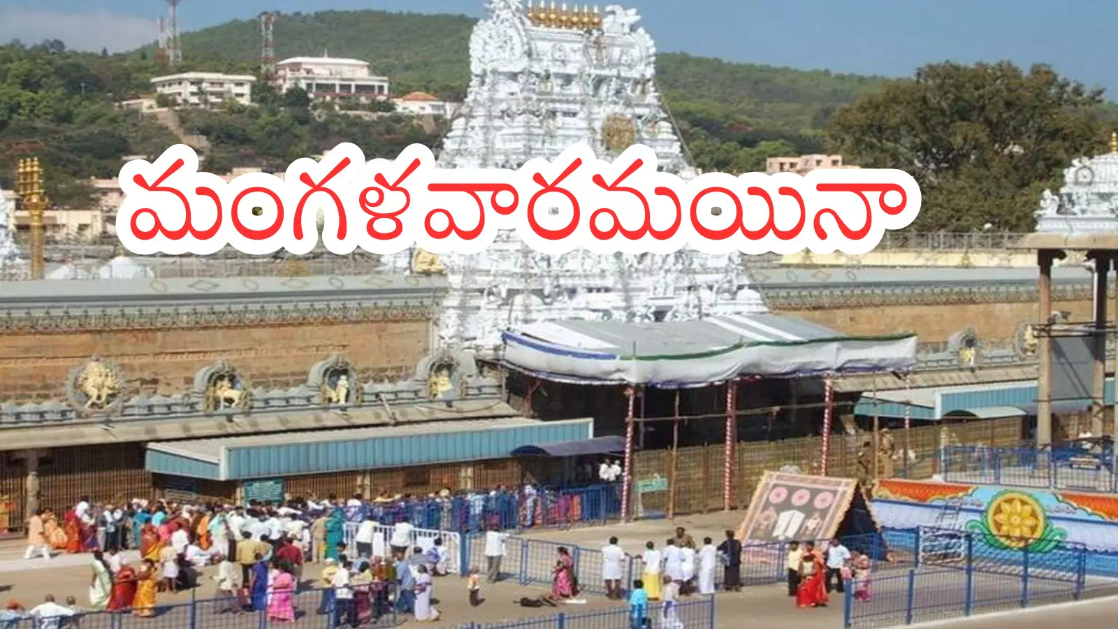 Tirumala : నేడు తిరుమలకు వెళ్లే వారికి అలెర్ట్.. రద్దీ ఎలా ఉందంటే? Tirumala : నేడు తిరుమలకు వెళ్లే వారికి అలెర్ట్.. రద్దీ ఎలా ఉందంటే?