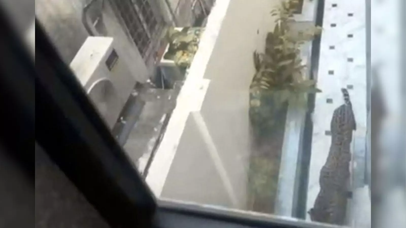 మంత్రి బంగ్లాలో చిరుత మంత్రి బంగ్లాలో చిరుత