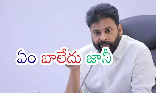 Janasena Party : పవన్ యాక్షన్ లోకి దిగకపోతే ఇక అంతేనట