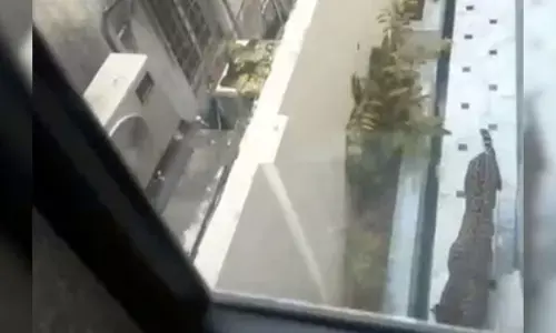 మంత్రి బంగ్లాలో చిరుత