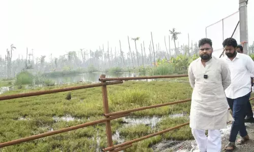 Pawan Kalyan : గత పాలకుల వల్లనే ఈ కష్టాలు