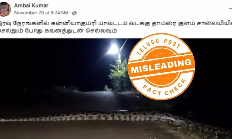 கன்னியாகுமரியில் மலைப்பாம்பு ஊர்ந்து செல்வதாக பரவும் வீடியோ - உண்மை இதுதான் கன்னியாகுமரியில் மலைப்பாம்பு ஊர்ந்து செல்வதாக பரவும் வீடியோ - உண்மை இதுதான்