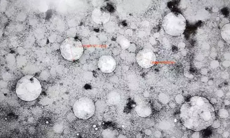 కాలేయానికి లైఫ్ ఇచ్చే తులసి-28ఎక్స్ కాలేయానికి లైఫ్ ఇచ్చే తులసి-28ఎక్స్