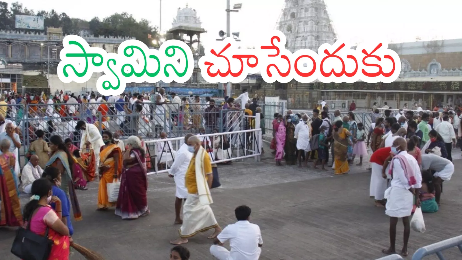 Tirumala : తిరుమలకు నేడు వెళితే.. మీరు ఎన్ని గంటలు వెయిట్ చేయాలంటే? Tirumala : తిరుమలకు నేడు వెళితే.. మీరు ఎన్ని గంటలు వెయిట్ చేయాలంటే?
