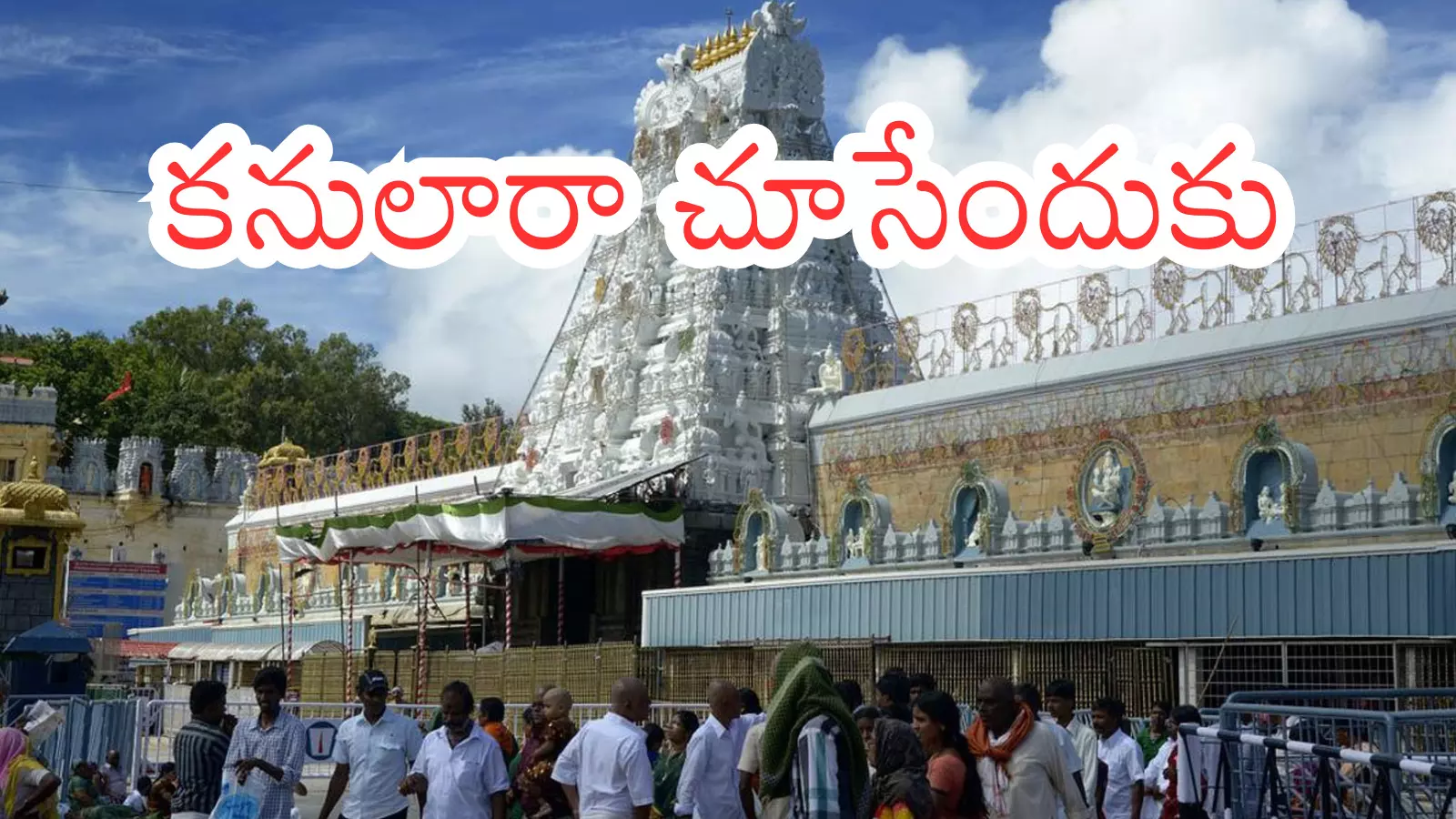 Tirumala : తిరుమలకు వెళ్లే వారికి గుడ్ న్యూస్.. నేడు దర్శనం సులువుగానే Tirumala : తిరుమలకు వెళ్లే వారికి గుడ్ న్యూస్.. నేడు దర్శనం సులువుగానే