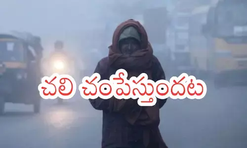 Weather Report : మరో మూడు నెలలు చలితీవ్రత మామూలుగా ఉండదట