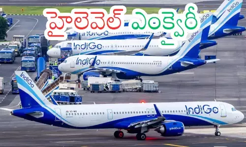Indigo : ఇండిగో..గో..గో.. కేంద్ర ప్రభుత్వం సీరియస్
