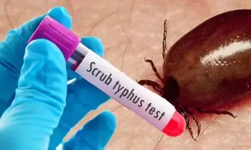 scrub typhus cases in andhra pradesh are causing panic among the people