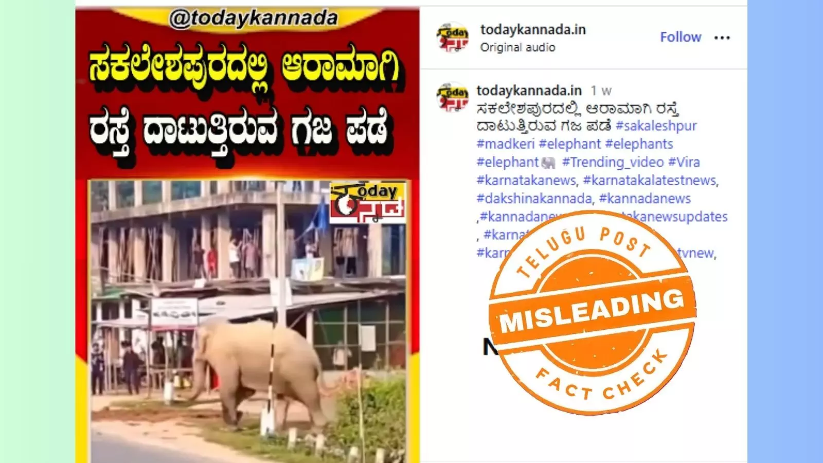 Screenshot of viral Sakaleshpur elephant video claim showing a large elephant herd crossing a road Screenshot of viral Sakaleshpur elephant video claim showing a large elephant herd crossing a road