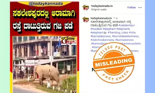 Screenshot of viral Sakaleshpur elephant video claim showing a large elephant herd crossing a road