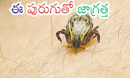 scrub typhus outbreak causes panic in andhra pradesh