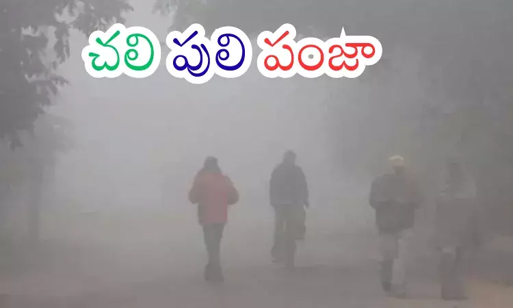 Weather Report : ఈ చలికి గడ్డకట్ట పోతామా ఏందిరా అయ్యా?