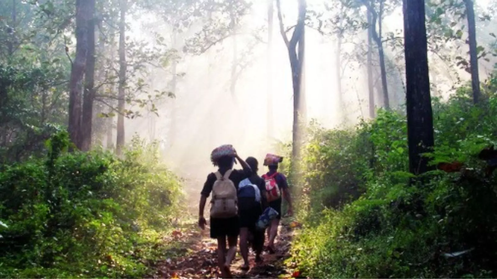 అక్కడకు వెళ్ళకండి అయ్యప్ప భక్తులకు సూచన అక్కడకు వెళ్ళకండి అయ్యప్ప భక్తులకు సూచన