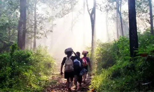 అక్కడకు వెళ్ళకండి అయ్యప్ప భక్తులకు సూచన అక్కడకు వెళ్ళకండి అయ్యప్ప భక్తులకు సూచన