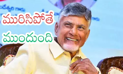 TDP feedback crisis concerns among party leaders. TDP feedback crisis concerns among party leaders.