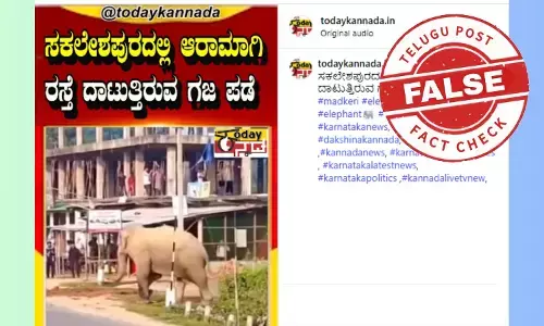 Screenshot of viral Sakaleshpur elephant video claim showing a large elephant herd crossing a road