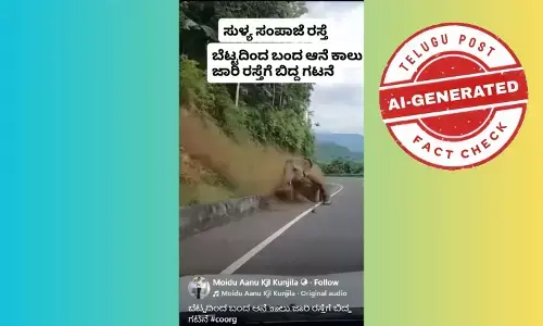 Screenshot of viral post claiming an elephant slipped on the Sullia–Sampaje road – fact check of AI-generated video