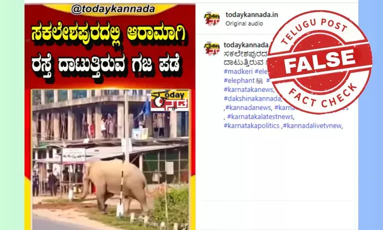 Screenshot of viral Sakaleshpur elephant video claim showing a large elephant herd crossing a road