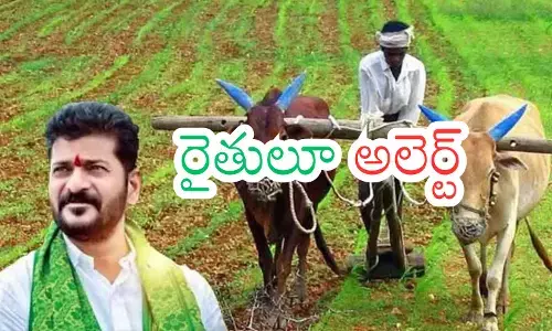 government to deposit money in bank accounts of farmers in telangana government to deposit money in bank accounts of farmers in telangana