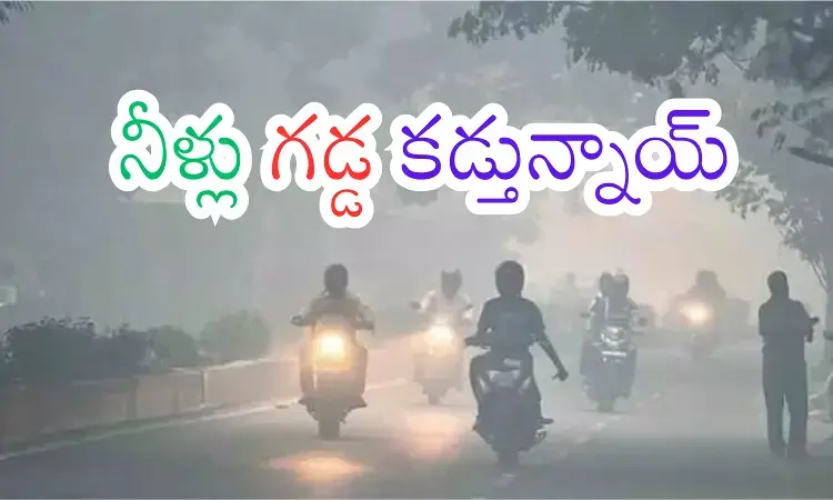 india meteorological department officials said that the intensity of these cold winds will increase for a few more days india meteorological department officials said that the intensity of these cold winds will increase for a few more days