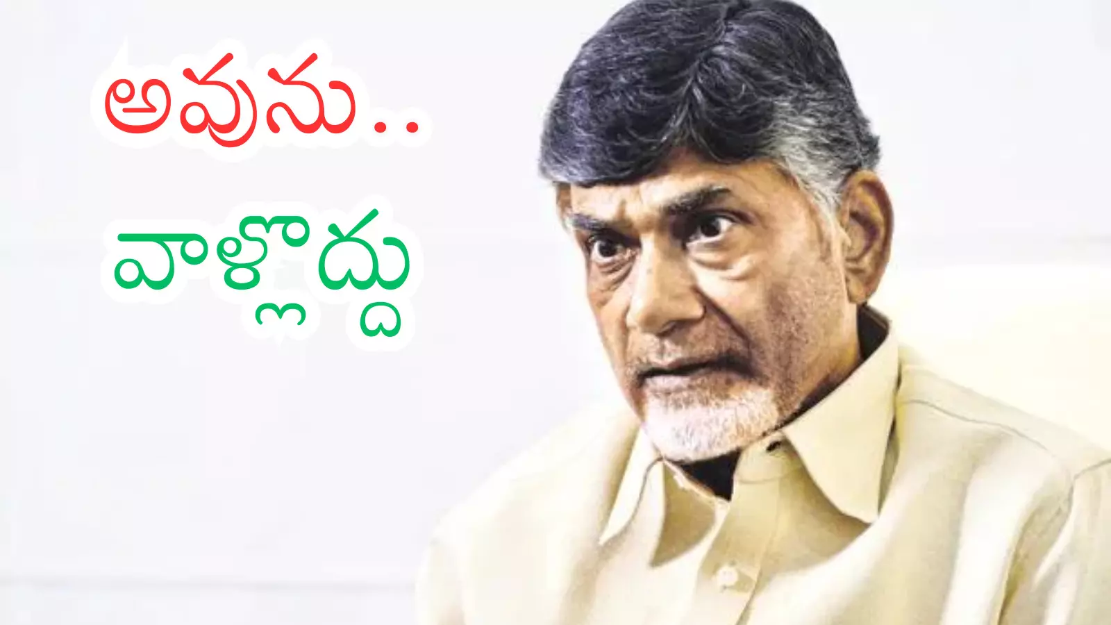 Chandrababu Naidu speaking at a party meeting amid criticism over decision delays. Chandrababu Naidu speaking at a party meeting amid criticism over decision delays.