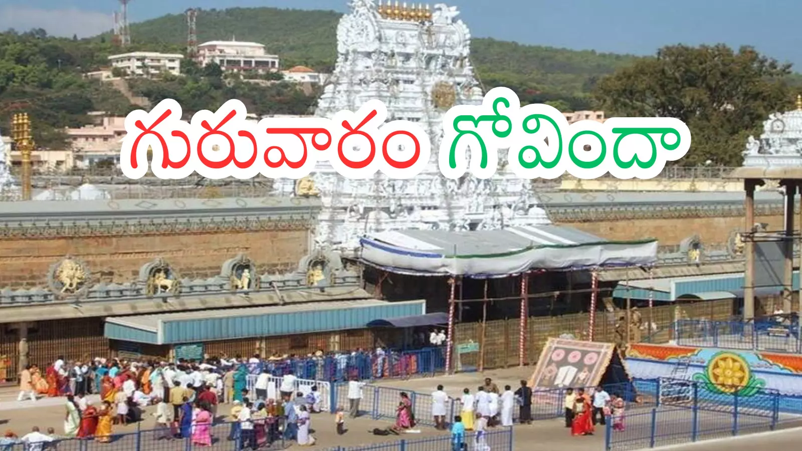 Tirumala : తిరుమలకు నేడు వెళ్లే వారు గంటల కొద్దీ వెయిట్ చేయాల్సిందేనా? Tirumala : తిరుమలకు నేడు వెళ్లే వారు గంటల కొద్దీ వెయిట్ చేయాల్సిందేనా?