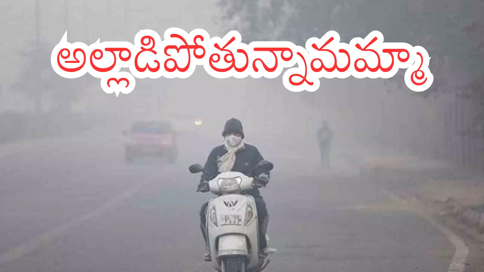 Cold Alert : రికార్డు బ్రేక్ చేస్తున్న చలి.. గతంలో ఇంత వణుకు ఎప్పుడొచ్చిందంటే? Cold Alert : రికార్డు బ్రేక్ చేస్తున్న చలి.. గతంలో ఇంత వణుకు ఎప్పుడొచ్చిందంటే?