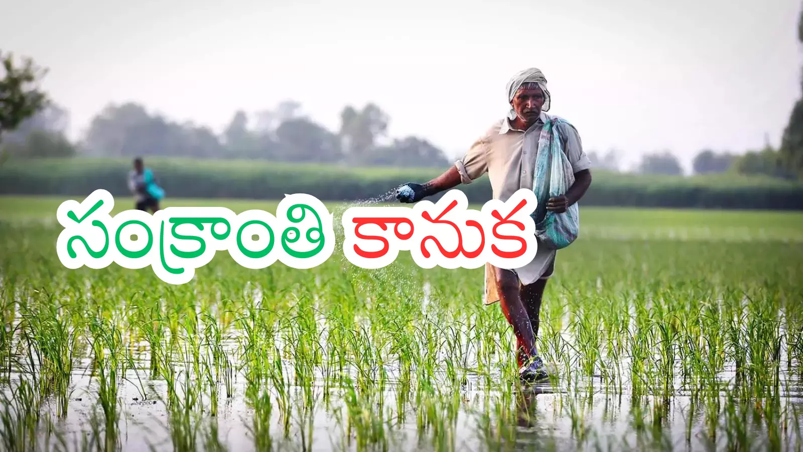 government has given good news to the farmers of andhra pradesh government has given good news to the farmers of andhra pradesh