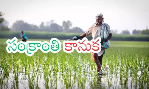 government has given good news to the farmers of andhra pradesh government has given good news to the farmers of andhra pradesh