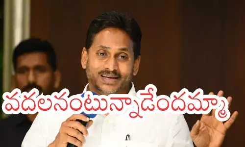 YSRCP chief YS Jagan Mohan Reddy addressing party leaders while expressing confidence about the 2029 Andhra Pradesh elections.