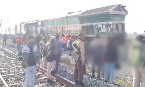 eight elephants die in assam after being hit by a train.