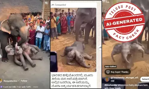 Viral WhatsApp and Instagram reel showing a fake three-headed elephant created using AI
