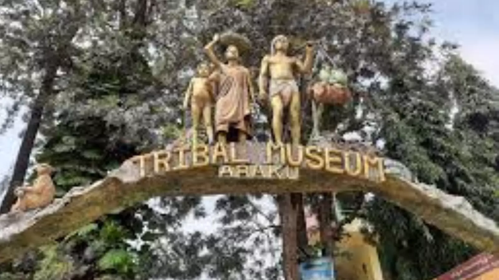 intensity of cold has increased in paderu agency in alluri seetharamaraju district intensity of cold has increased in paderu agency in alluri seetharamaraju district