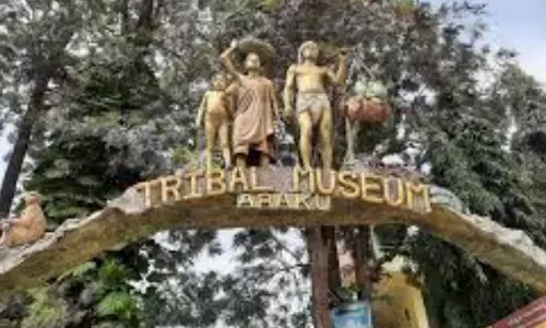 intensity of cold has increased in paderu agency in alluri seetharamaraju district intensity of cold has increased in paderu agency in alluri seetharamaraju district