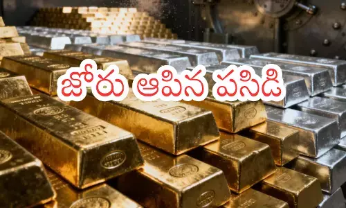 జోరు ఆపిన పసిడి