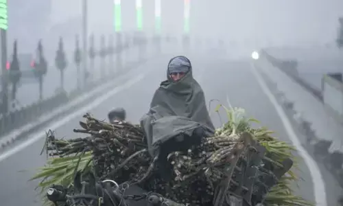 ఉత్తరాది రాష్ట్రాల్లో కోల్డ్‌వేవ్