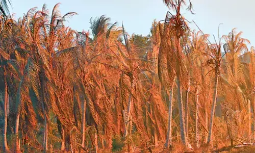 ONGC gas well blaze at Mori in Andhra Pradesh