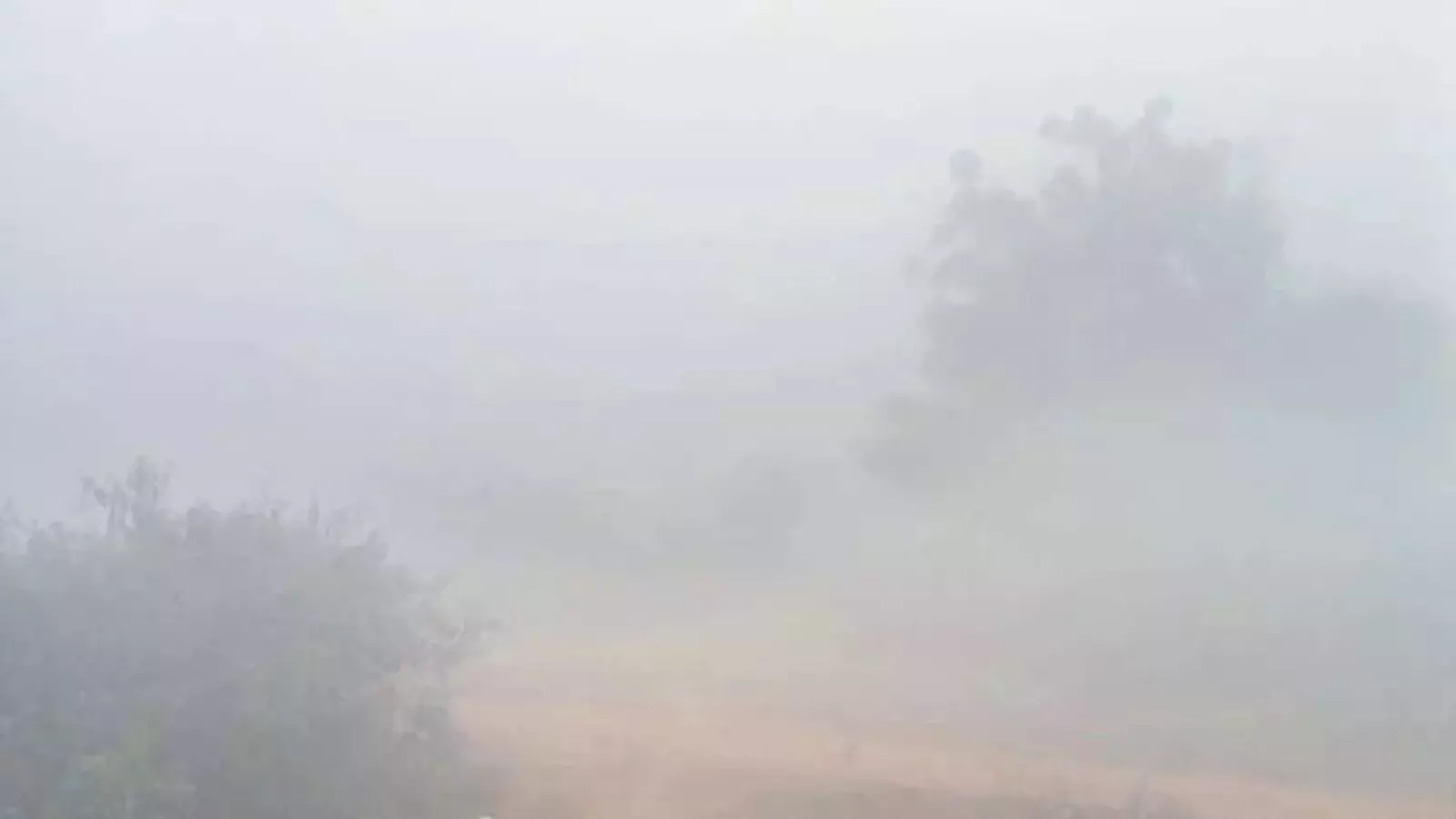 there is a lot of fog this morning in andhra pradesh there is a lot of fog this morning in andhra pradesh