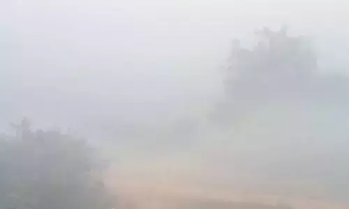 there is a lot of fog this morning in andhra pradesh