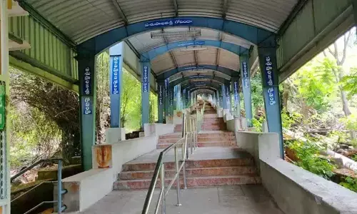leopard roaming on srivari steps in tirumala creates commotion