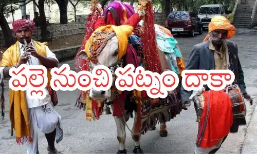 sankranti celebrations have begun in andhra pradesh