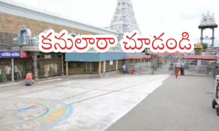 Tirumala: తిరుమలకు వెళ్లే వారికి తీపికబురు.. వెనువెంటనే స్వామి వారి దర్శనం Tirumala: తిరుమలకు వెళ్లే వారికి తీపికబురు.. వెనువెంటనే స్వామి వారి దర్శనం