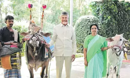 andhra pradesh chief minister chandrababu  will visit naravaripalle today